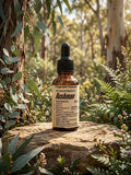 Bushman Beard Oil 30ml — Wild & Woodsy